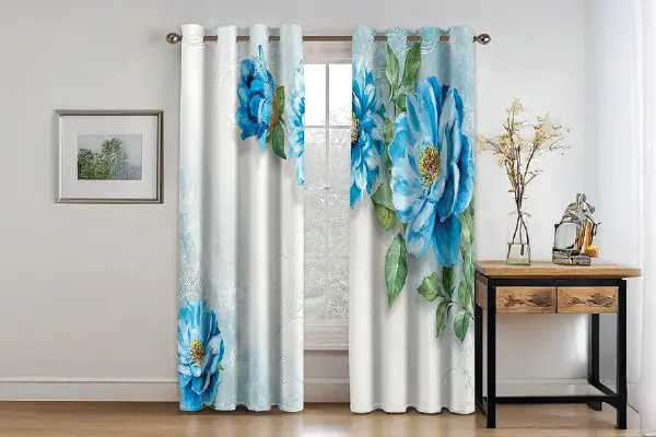 Curtain